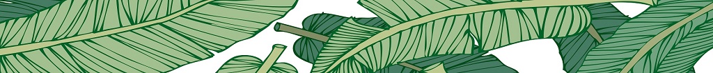 CSD Banner